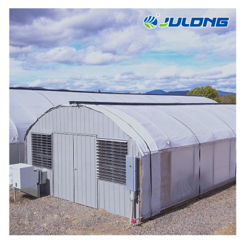 Fully Automatic Arch medical growing Greenhouse
